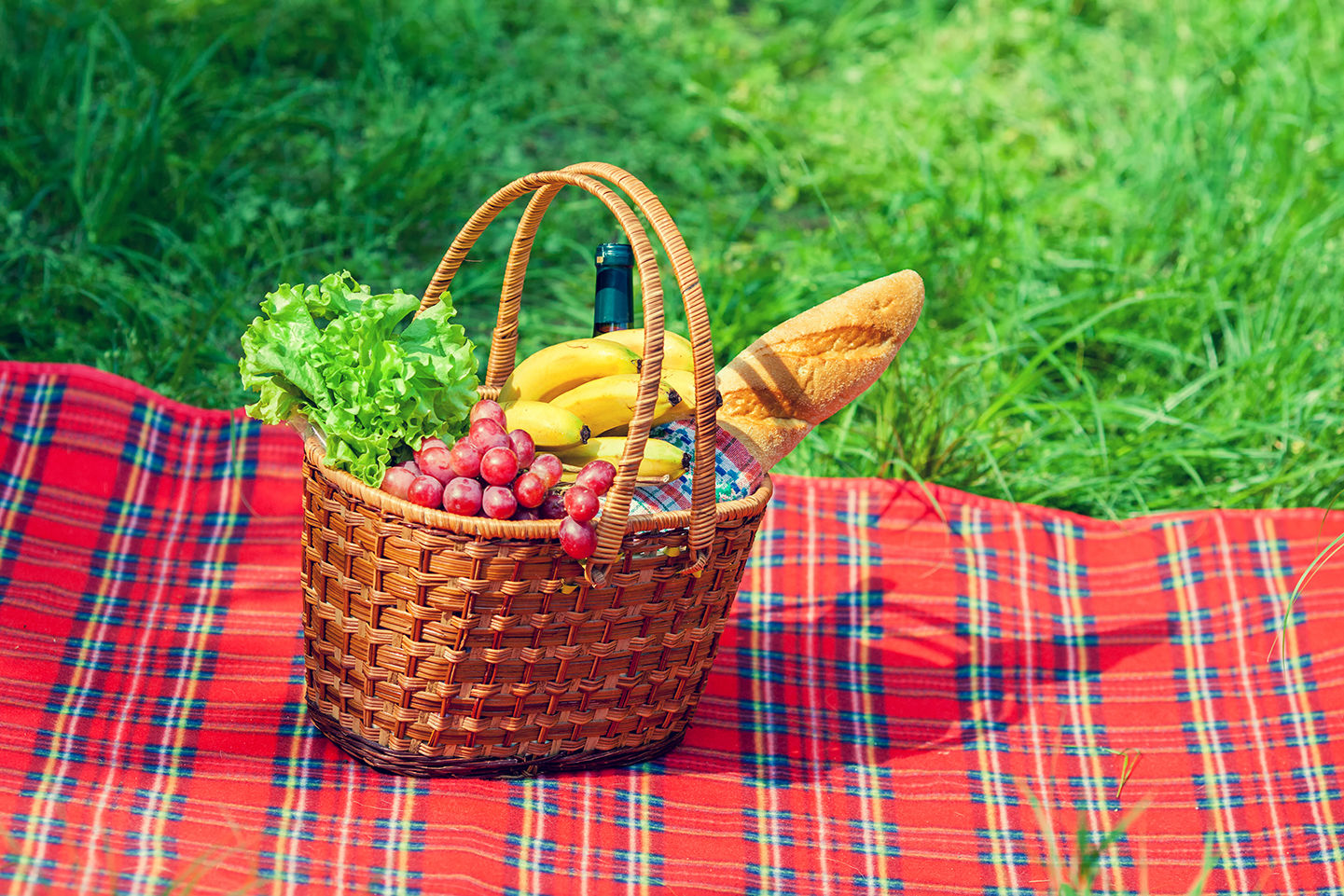 7. Work to revamp your diet and picnic with your healthy food